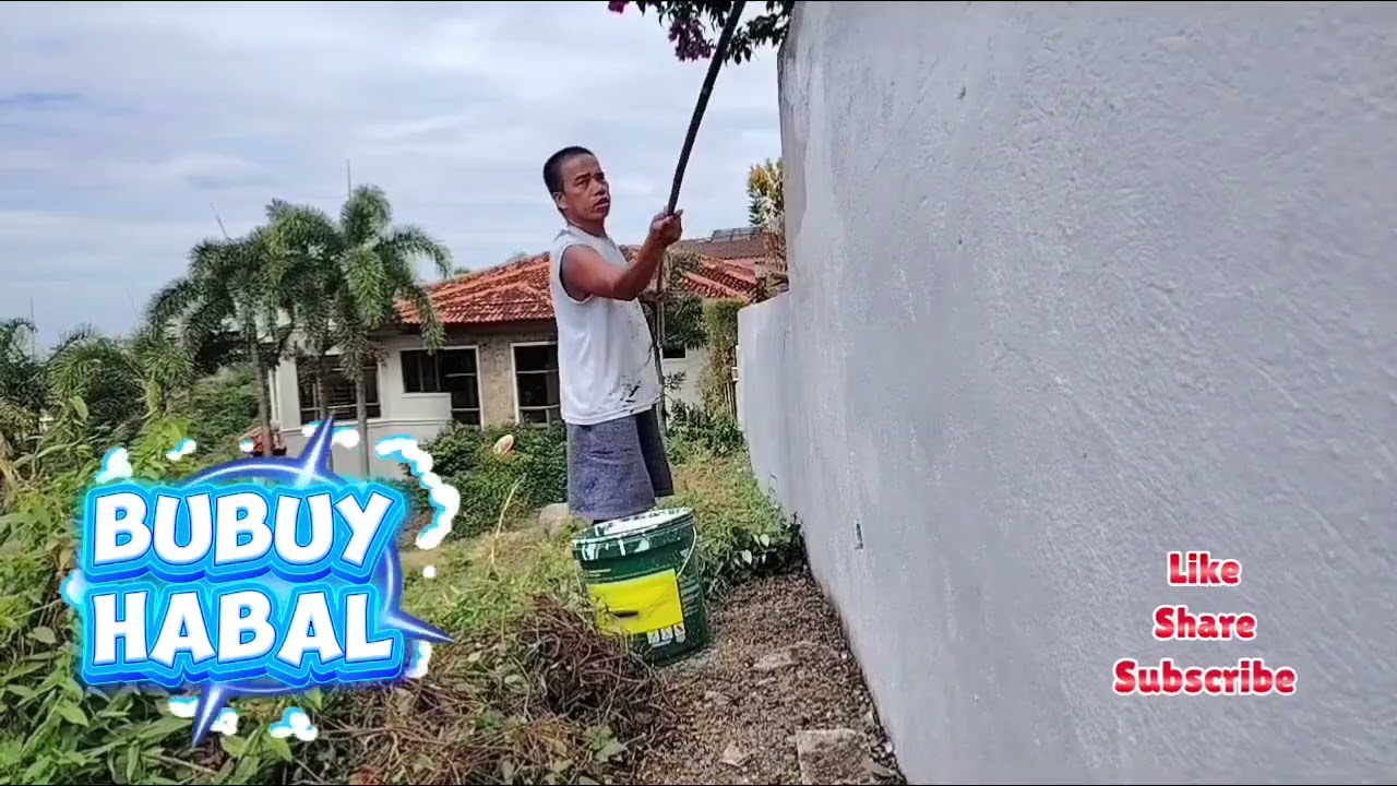 Last part of cleaning outside wall and paint