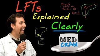 Liver Function Tests (LFTs) Explained Clearly by MedCram.com