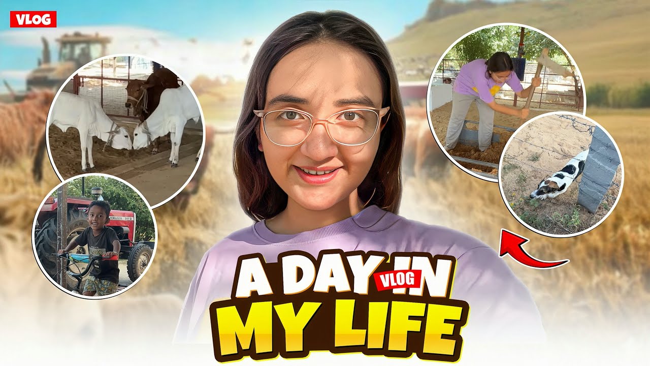 The life we all want!! ❤️