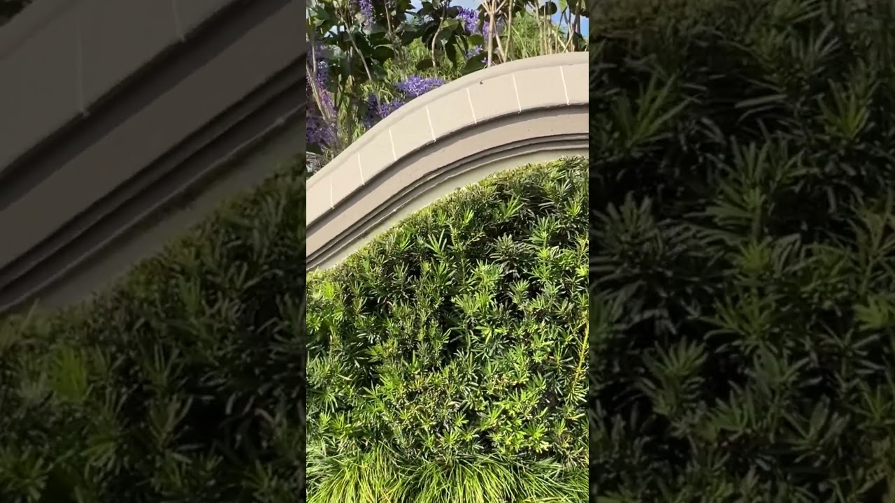 Great Wall of china at Epcot 