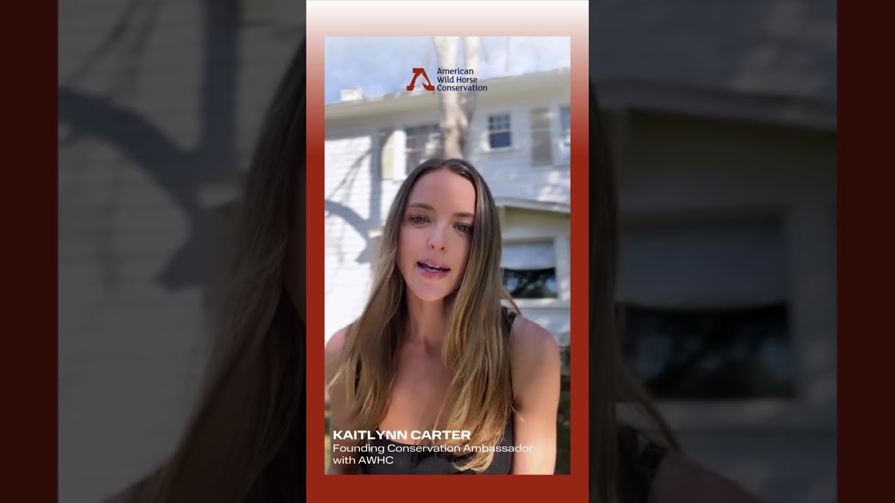 Kaitlynn Carter Advocates for Wild Horse Conservation