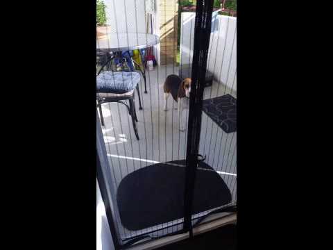 magnet-fliegengitter-vorhangtür