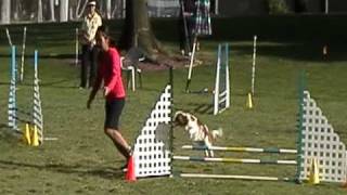 Ruby jumpers