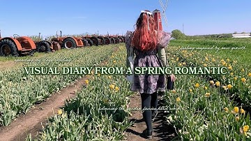 my spring hobbies // a visual diary of how I spend my spring days