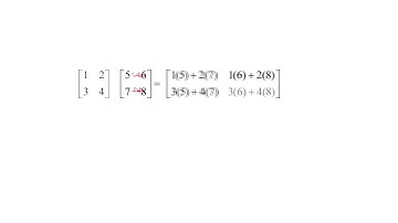 How to Multiply Matrices - An Animation