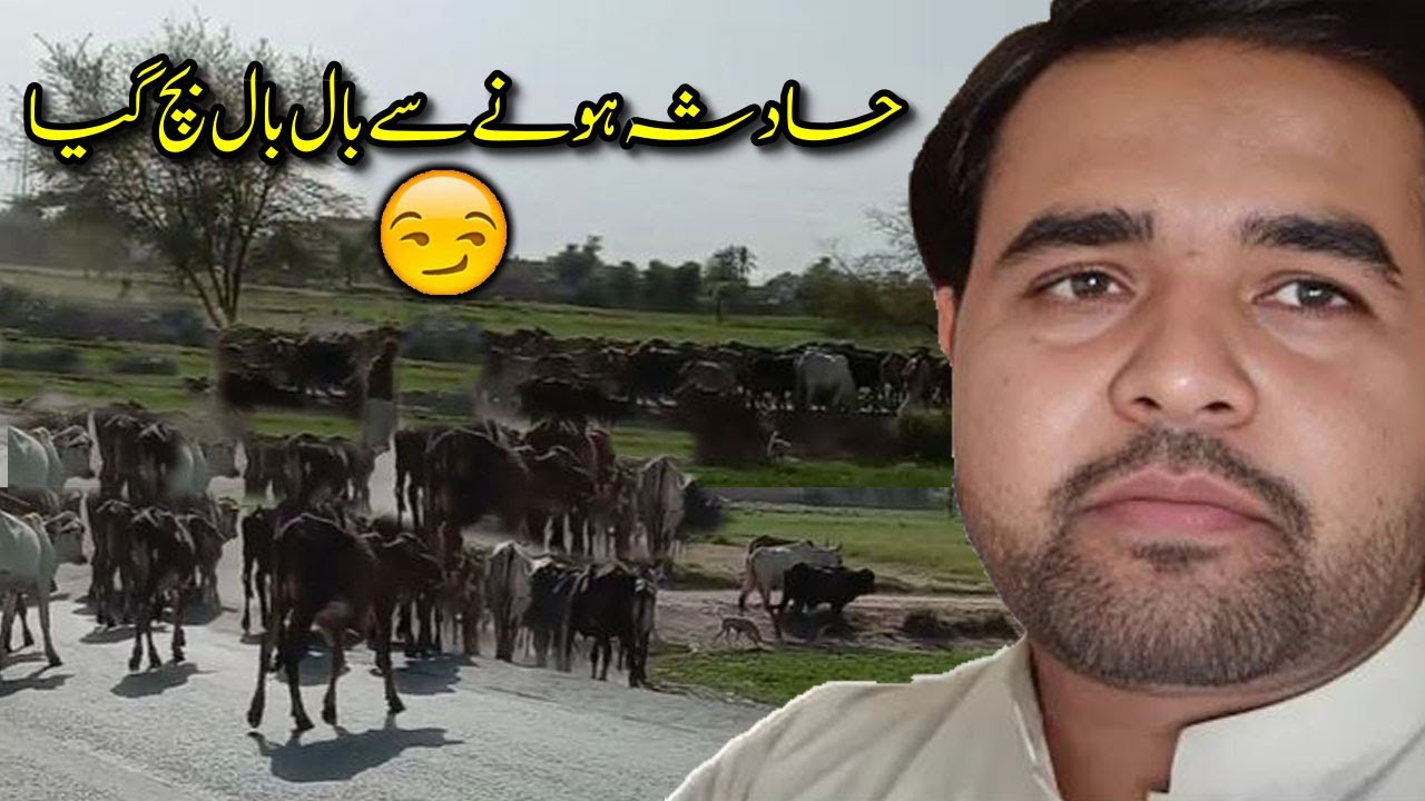 Dil Chasp Safar Khoob Enjoy kiya Hadsa hony Say Bal Bal Bach Gaya