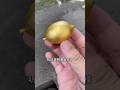 The Shopkeeper Gave Me A Gold lemon 🍋🤯