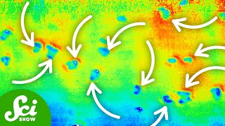 Something's Been Making Weird Pits in the Seafloor