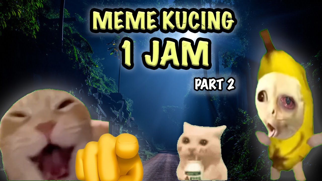 1 JAM Pov Meme Kucing - Part 2