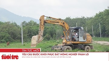 Yêu cầu buộc khôi phục đất nông nghiệp phân lô