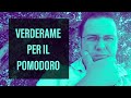 Verderame per il Pomodoro nell' Orto Precisazioni