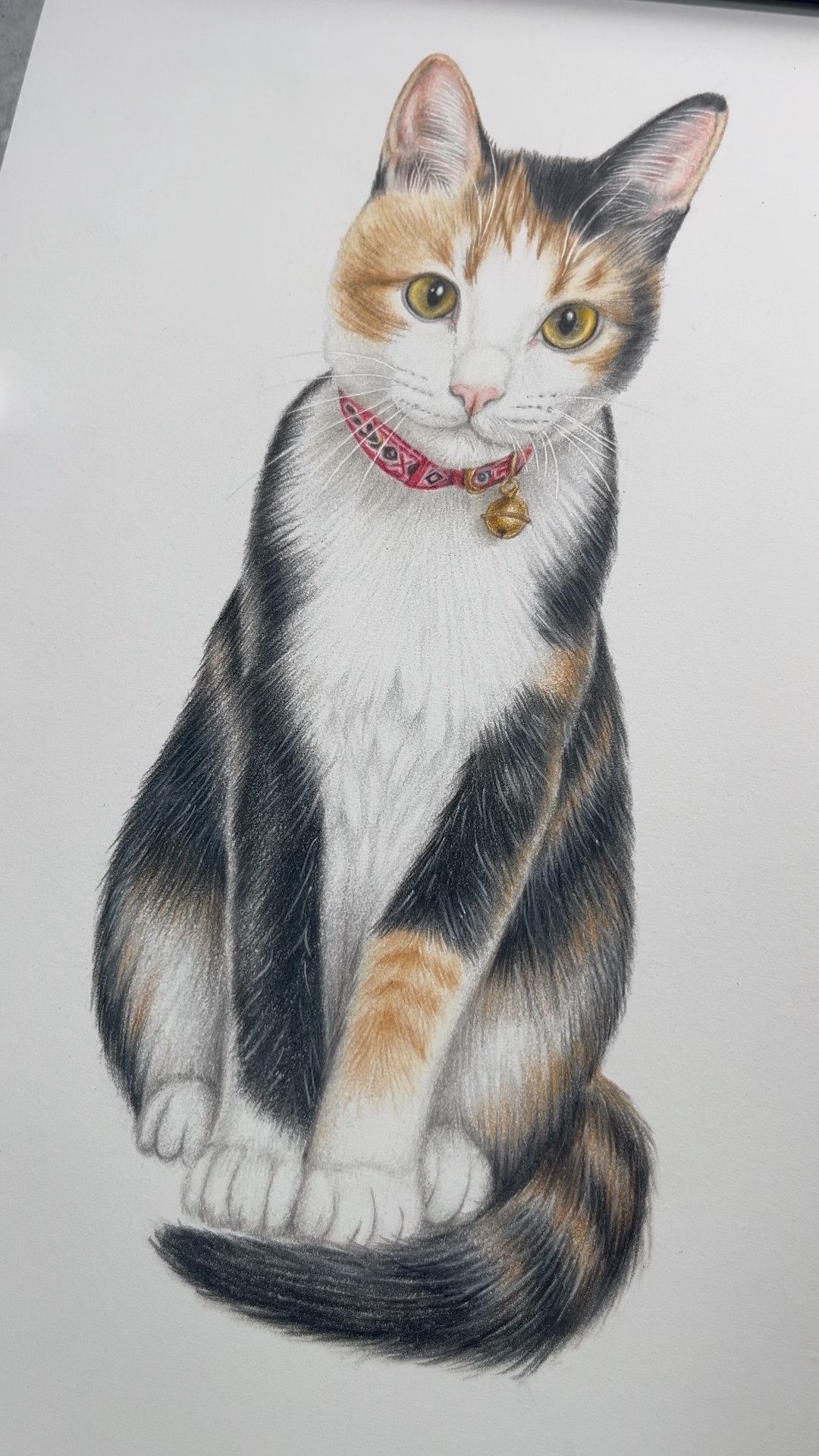 鉛筆画　猫 猫を色鉛筆で描きました。I drew a cat with colored pencils