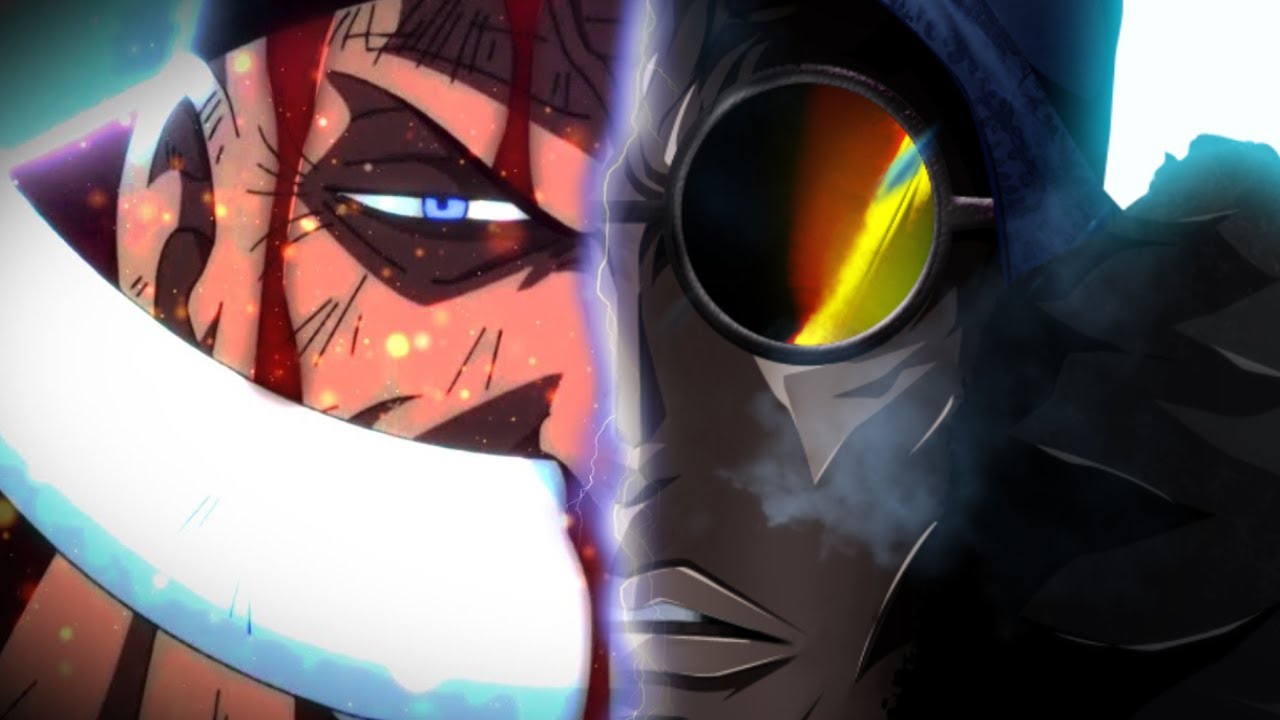 OFFICIEL LE SECRET D'AOKIJI ET LA PUISSANCE DE BARBE BLANCHE ! ONE