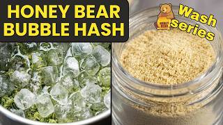 Honey Bear Wash Diary | Fresh Frozen to Bubble Hash V2