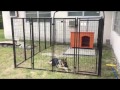 Welded wire dog kennel review