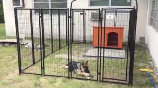 Welded wire dog kennel review