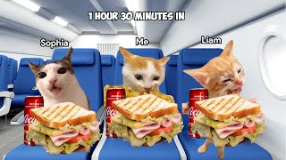 Cat Memes Travel to Singapore PT.1