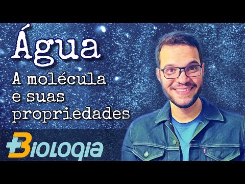 Vídeo: Por que as moléculas de água são atraídas umas pelas outras?