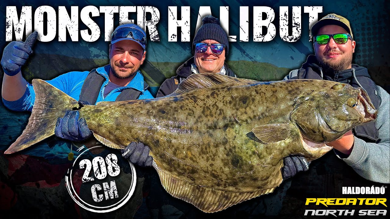 Döme Gábor - Az Északi-tenger szörnye, az óriás halibut