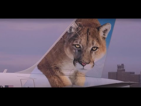 LaGuardia Airport NYC *LIVE* + ATC - Sun 6-22-25 @2pm Est. 1440p60