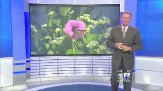 Dr. Al Johnson featured on TV - 9/23/14
