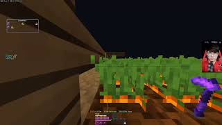 Taunahi V3 _ Free Cracked Hypixel Skyblock Macro