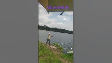 Câu cá mè hồ đá
