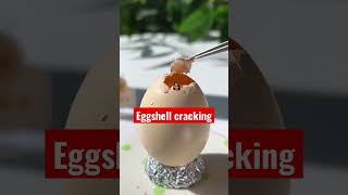 EGG SHELL CRACKING #ASMR #SHORT #viral #crackingsound Wealth