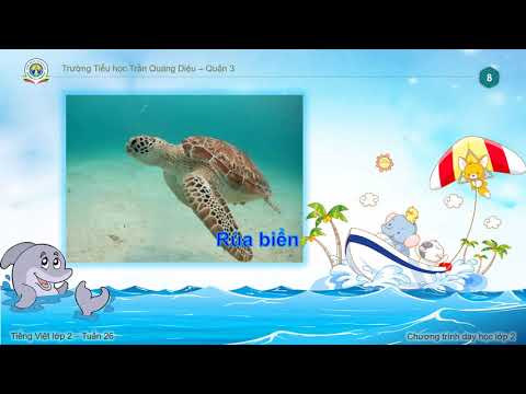 Tiếng Việt Khối 2: Tuần 26 - Luyện từ và câu - Từ ngữ về sông biển. Dấu phấy