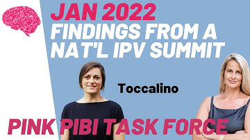 "New research on IPV and TBI" Domestic Violence & TBI Task Force 2022 - Danielle Toccalino