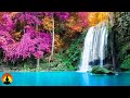 Study Music, Concentration Music, Focus Music, Meditation, Relax Music, Alpha Waves, Study, ☯3696