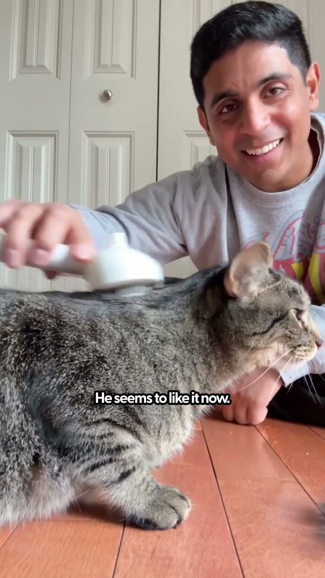 My Cat Tries The Viral Steam Cat Brush | The Dodo