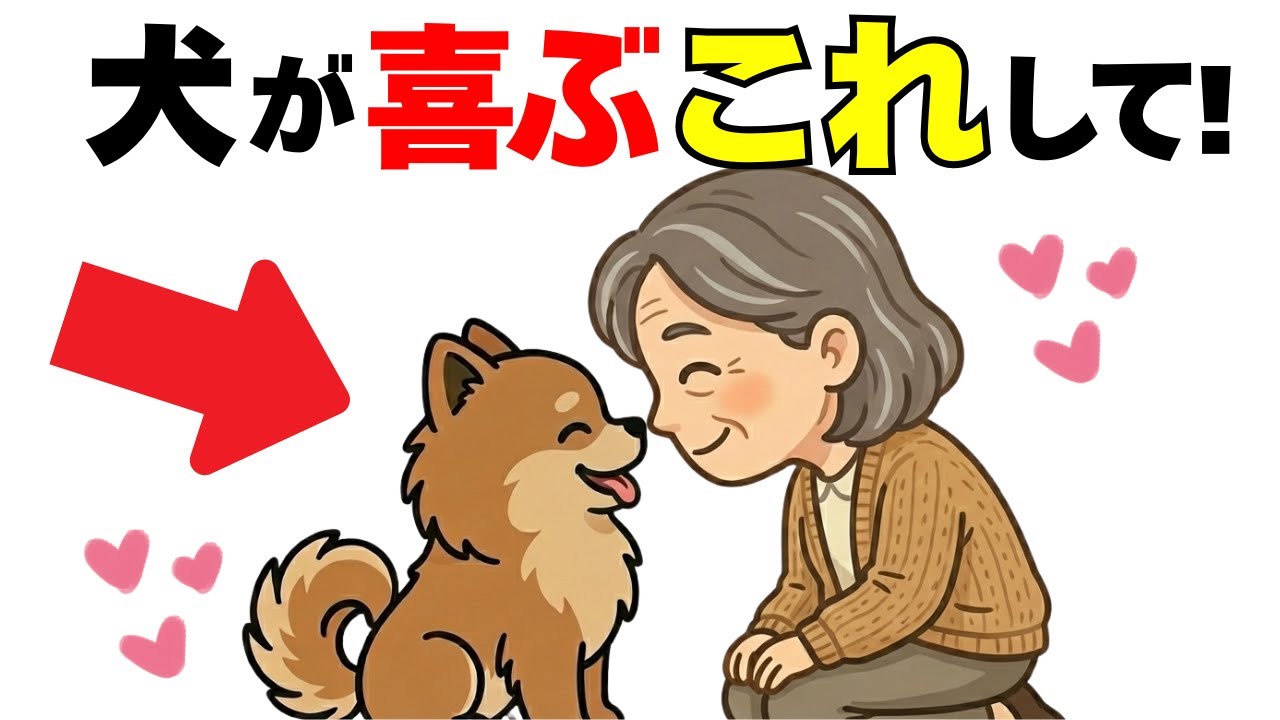 【今すぐして!!】犬が本当に喜ぶ愛の育み方１０選