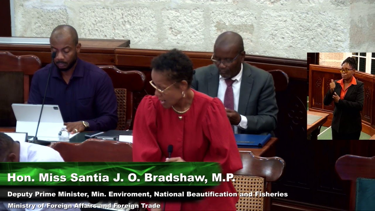 Estimate Debates - March 3, 2026 First Session of the 2026-2031 The Honourable House of Assembly