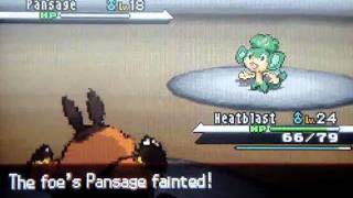 Pokemon Black and White - VS Rival Bianca 3rd Battle