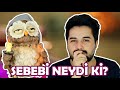 1 Kitabını Bile Okumadığım 11 Yerli Yazar