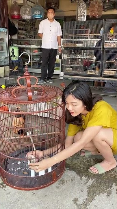 Cewek Cantik Suka Burung #shorts #Burung #Cewek #Cantik
