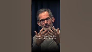 De relatie tussen lichaam en geest en de zintuigen - Kort