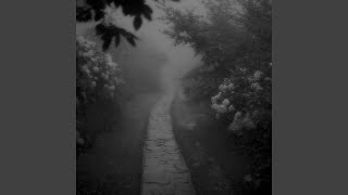 Libra Heart ultra Slowed