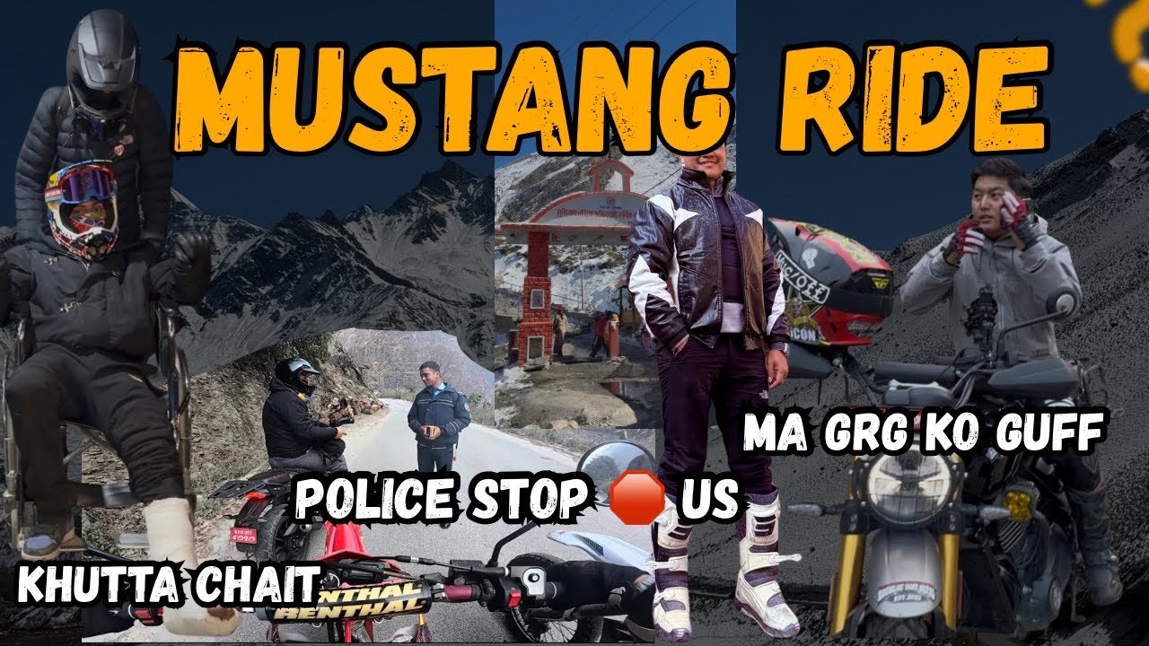 CROSSFIRE RIDE TO MUSTANG || WILD 