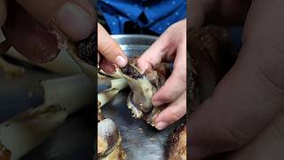 Kali Kali Mutton Nalli #eating #Mutton #Nalli