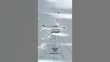 When This Plane Takes Off, The World Might Be Ending