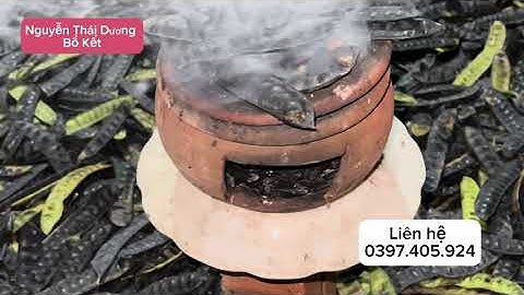 Tác dụng của quả Bồ kết khô sông nhà |#câybồkết #quảbồkết #côngdụng