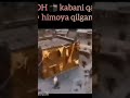 OLLOH KABANI QANDAY HIMOYA QILGAN