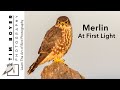 Merlin First LIght - Stay At Home Project