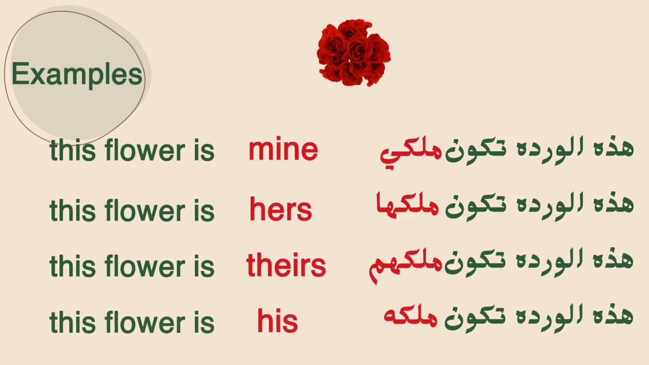 أولي اعدادي الوحده 2  Possessive pronouns/possessive adjectives صفات وضمائر الملكيه 