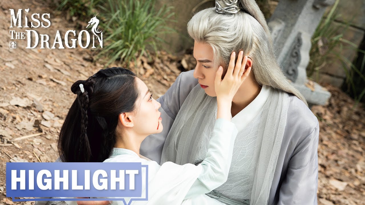 【高光合集】 | EP31-36 | 遇龙 Miss The Dragon