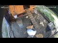 The Chicken Chronicles Part 7: Chicken Cam