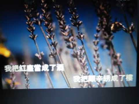 一笑而过解千愁【WB】（甫人- 一只舟） 2017 7 23