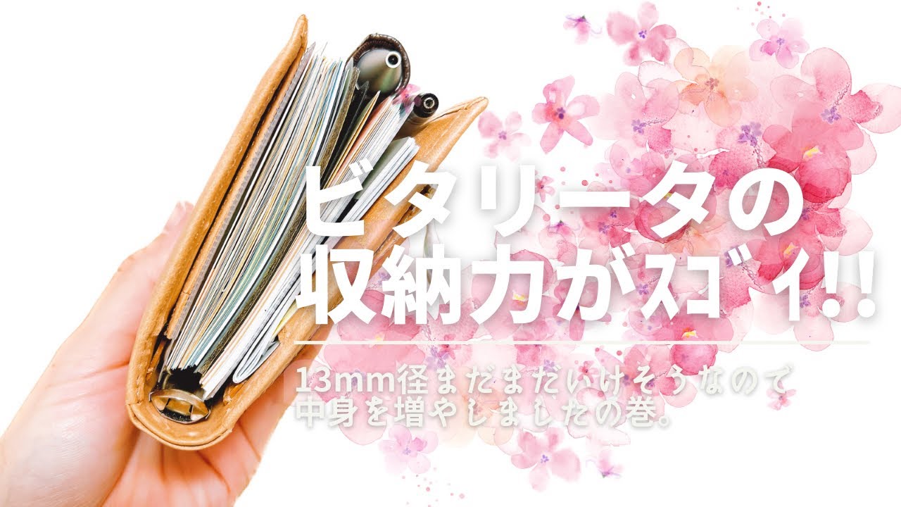 M6【ビタリータ】の収納力がえぐいので……🙏